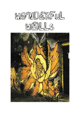Cover of Wonderful Walls V2